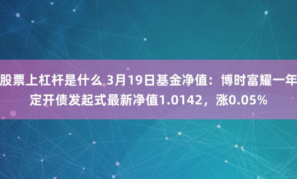 股票上杠杆是什么 3月19日基金净值：博时富耀一年定开债发起式最新净值1.0142，涨0.05%