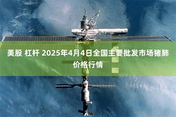 美股 杠杆 2025年4月4日全国主要批发市场猪肺价格行情