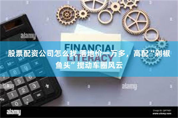 股票配资公司怎么找 落地价一万多，高配“剁椒鱼头”搅动车圈风云