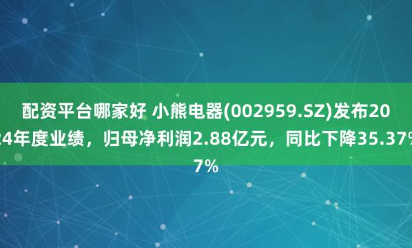 配资平台哪家好 小熊电器(002959.SZ)发布2024年度业绩，归母净利润2.88亿元，同比下降35.37%