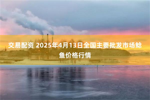 交易配资 2025年4月13日全国主要批发市场鲶鱼价格行情
