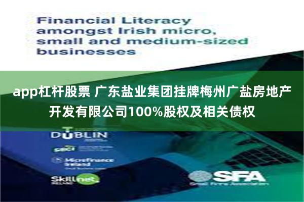 app杠杆股票 广东盐业集团挂牌梅州广盐房地产开发有限公司100%股权及相关债权