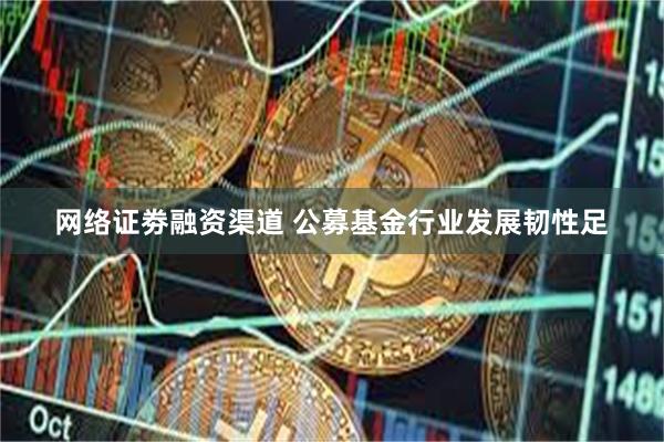 网络证劵融资渠道 公募基金行业发展韧性足