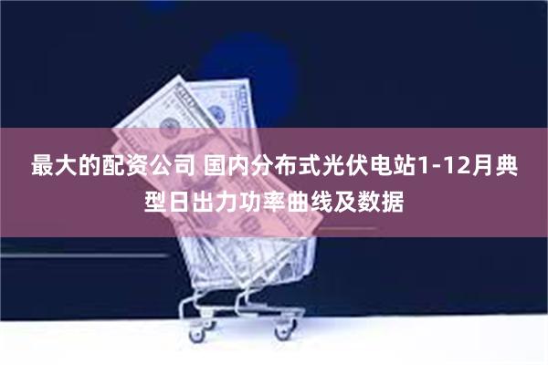 最大的配资公司 国内分布式光伏电站1-12月典型日出力功率曲线及数据