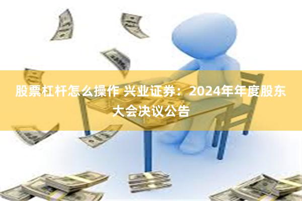 股票杠杆怎么操作 兴业证券：2024年年度股东大会决议公告
