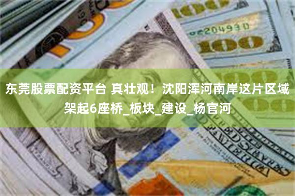 东莞股票配资平台 真壮观！沈阳浑河南岸这片区域架起6座桥_板块_建设_杨官河