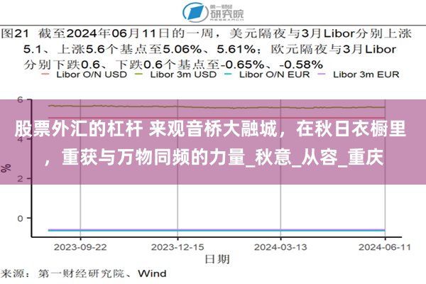 股票外汇的杠杆 来观音桥大融城，在秋日衣橱里 ，重获与万物同频的力量_秋意_从容_重庆