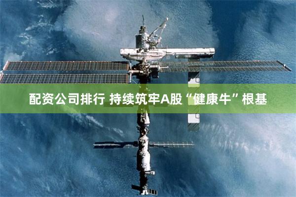 配资公司排行 持续筑牢A股“健康牛”根基
