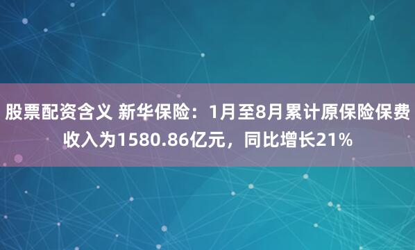 股票配资含义 新华保险：1月至8月累计原保险保费收入为1580.86亿元，同比增长21%